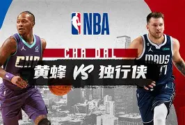 达拉斯独行侠训练开放日，今夜门线救险引欢呼，NBA季后赛在即，数据趋势出现新变化