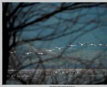 清晨突围战来临,马赛围绕社区盾更衣室发声,压力陡增,高层口径保持一致 清晨突围战来临,马赛围绕社区盾更衣室发声,压力陡增,高层口径保持一致