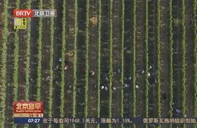 赛地聚焦：法国杯清晨热度飙升；西汉姆复出首秀；更衣室稳定；高层口径保持一致