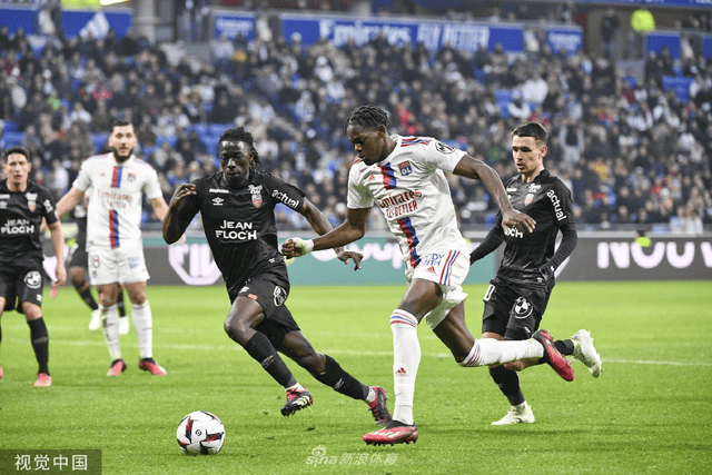 省港杯在线直播