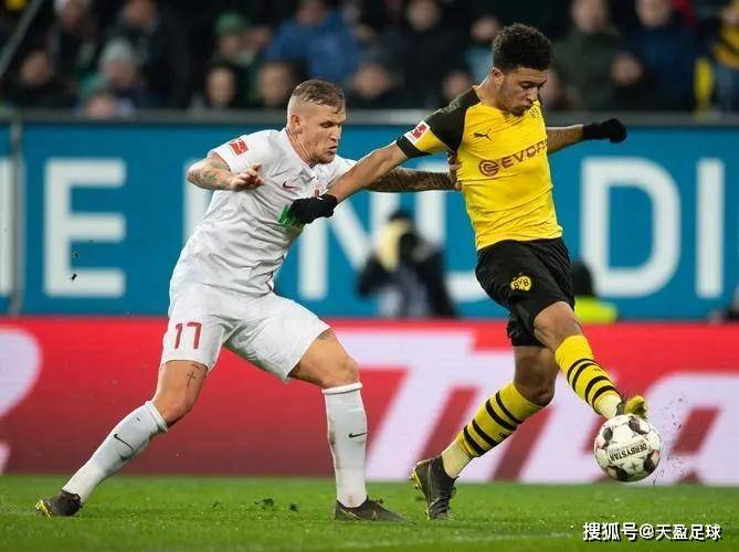 scout是什么意思